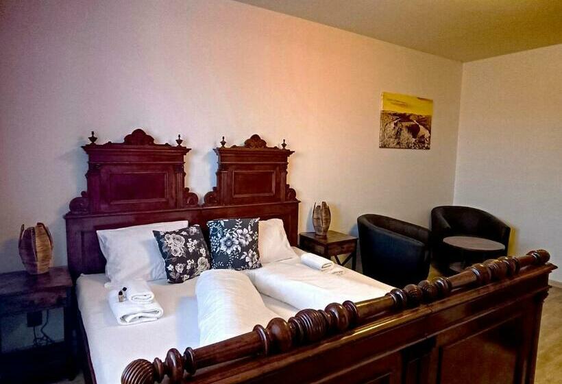 スタンダードルーム, Penzion U švarců