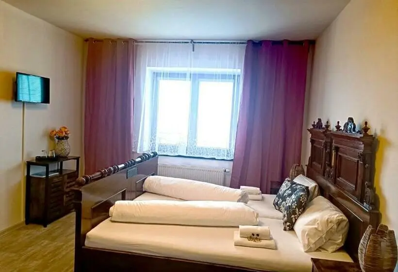 スタンダードルーム, Penzion U švarců