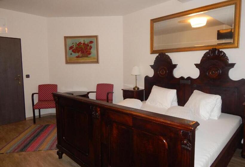 スタンダードルーム, Penzion U švarců