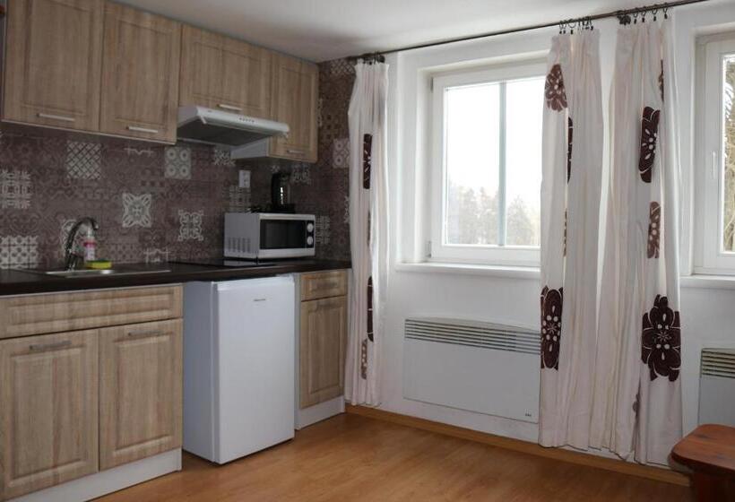 شقة غرفة واحدة مطلة على الحديقة, Penzion Vlčárna