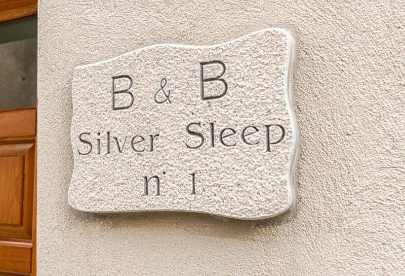 家庭套房, B&b Silver Sleep