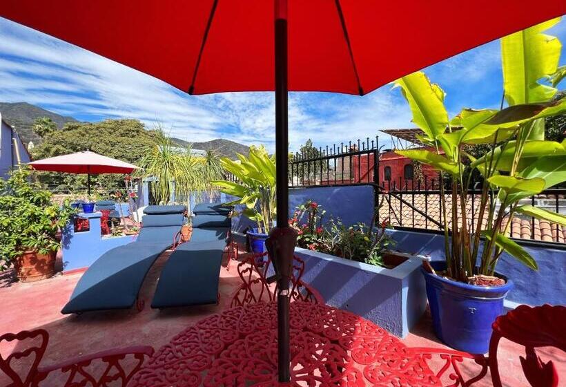 Номер Superior, Estrellita S Bed & Breakfast