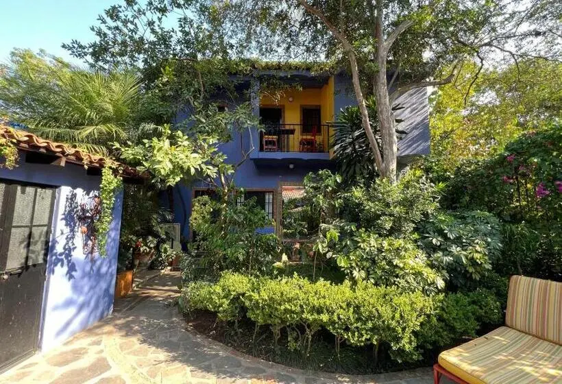 デラックスバンガロー, Estrellita S Bed & Breakfast