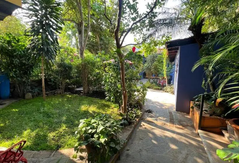 デラックスバンガロー, Estrellita S Bed & Breakfast