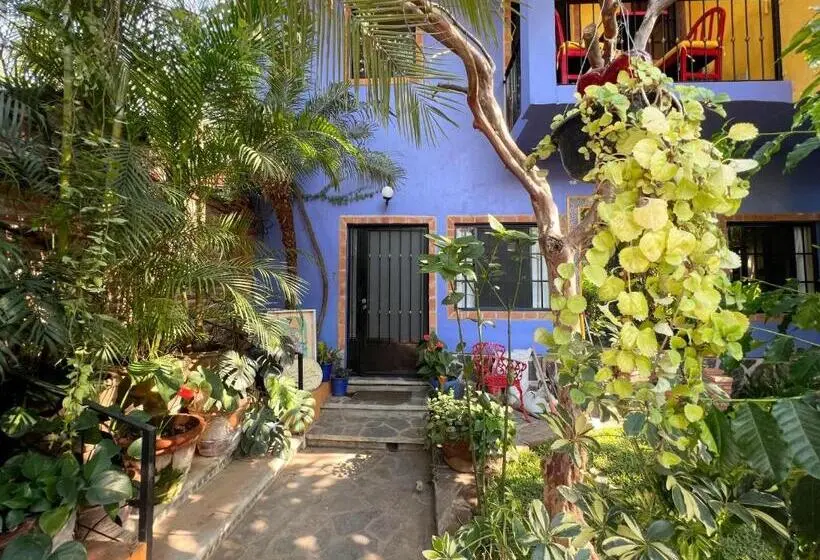 デラックスバンガロー, Estrellita S Bed & Breakfast