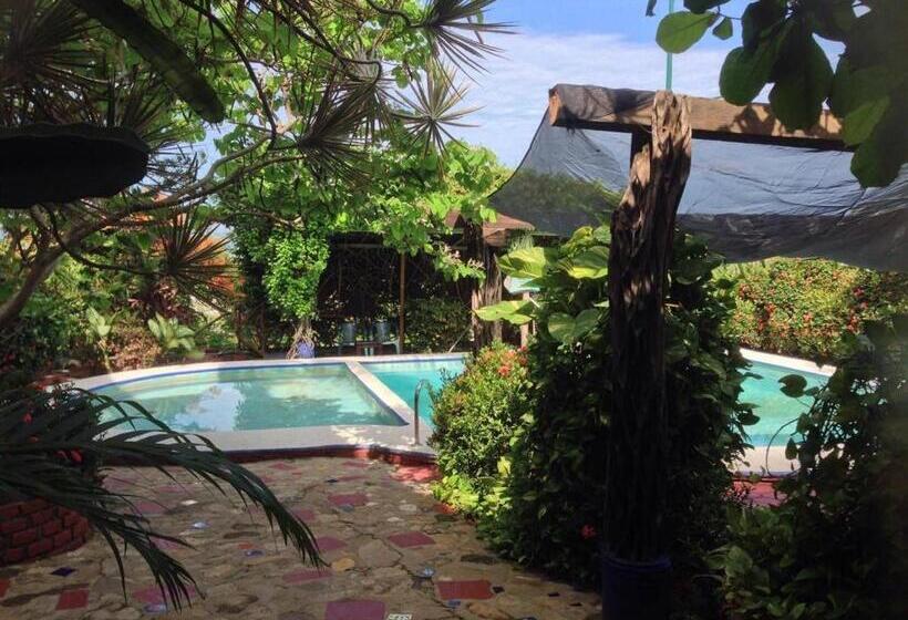 اتاق استاندارد با چشمانداز باغ, Casa Terranova