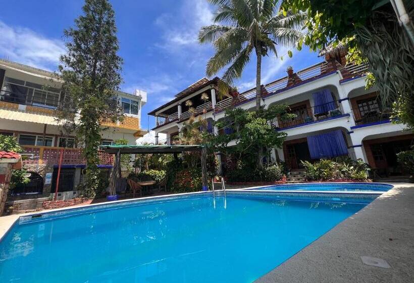 بانگلوی لوکس, Casa Terranova