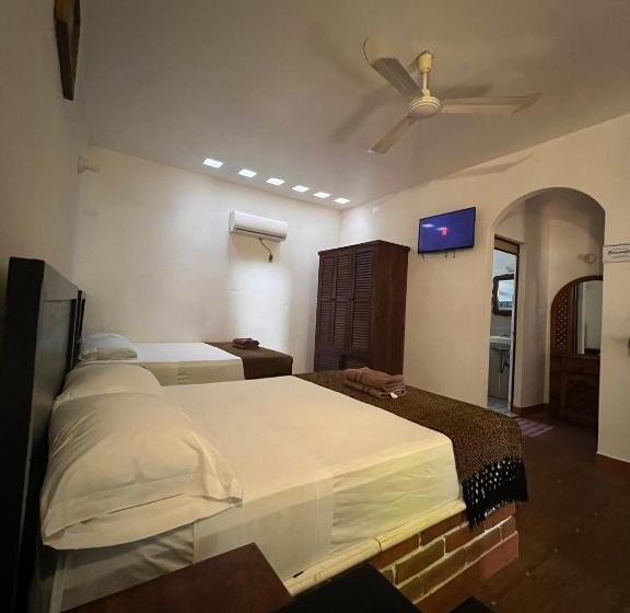 بانگلوی لوکس, Casa Terranova