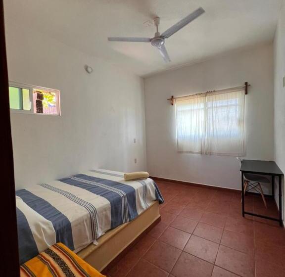 بانگلوی استاندارد 2 خوابه, Casa Terranova