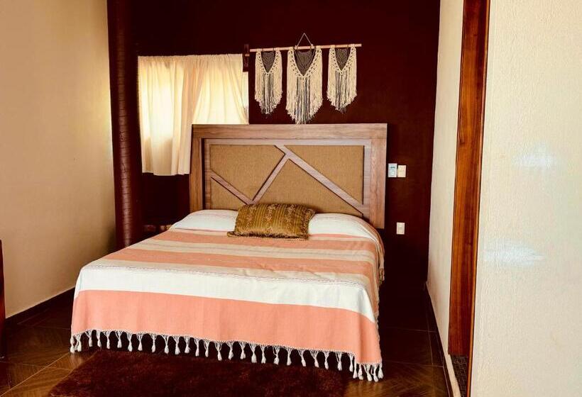 استودیوی استاندارد با چشمانداز دریا, Casa Terranova