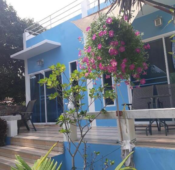 بنجلو ديلوكس, Belinda Home