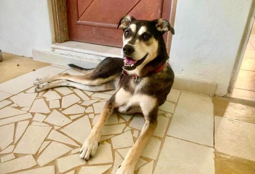 Люкс, Chales Da Lua Juquehy