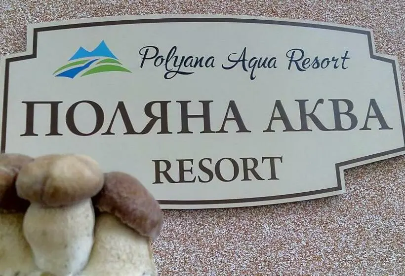 آپارتمان 1 خوابه با بالکن, поляна аква резорт