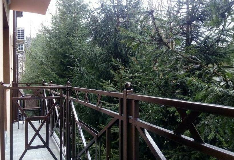 آپارتمان 1 خوابه با بالکن, поляна аква резорт