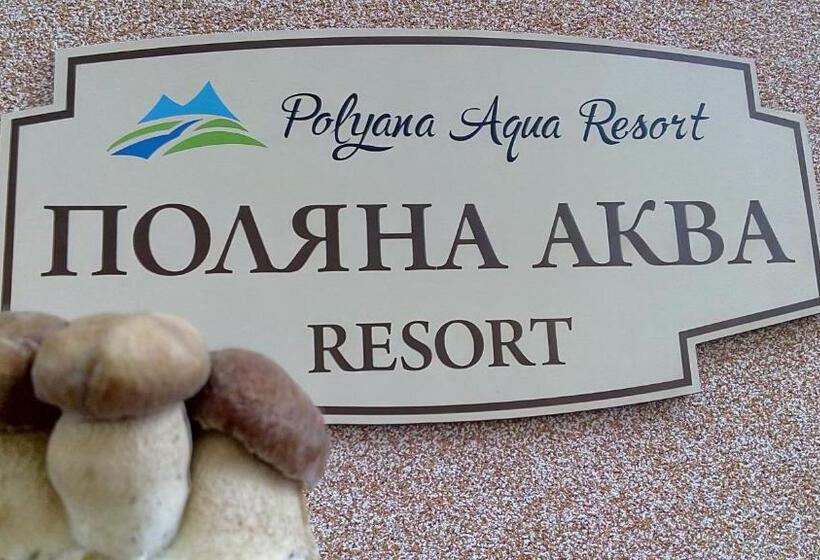 اتاق استاندارد, поляна аква резорт