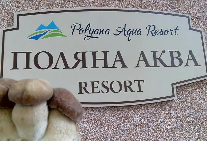 اتاق استاندارد, поляна аква резорт