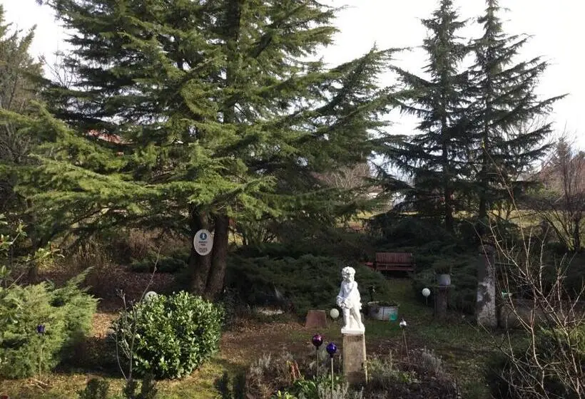 ガーデンビューのスタンダードワンルーム, Villa Magdi Vendégház