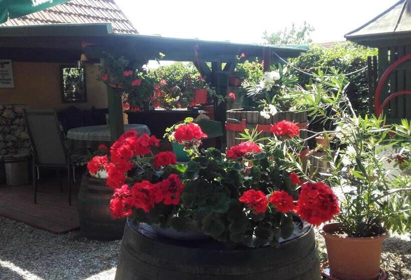 キャビン, Villa Magdi Vendégház