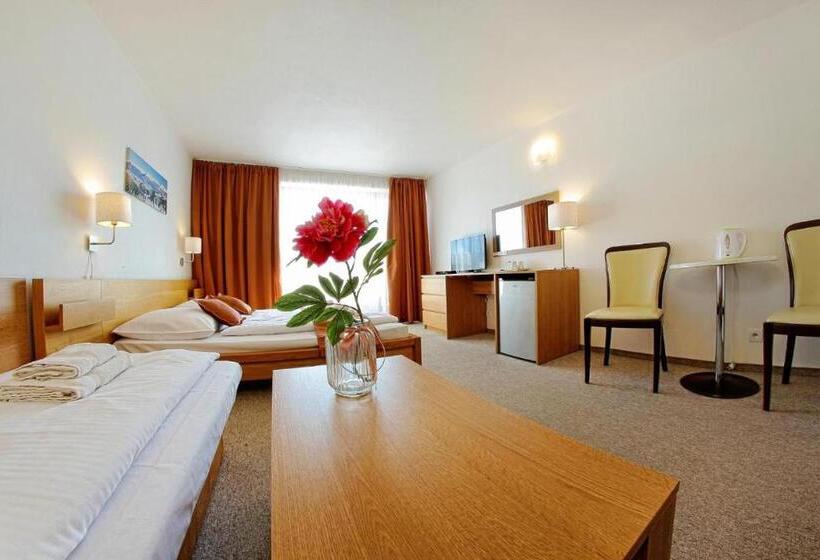 스탠다드 트리플 룸 테라스, Penzión Dubo