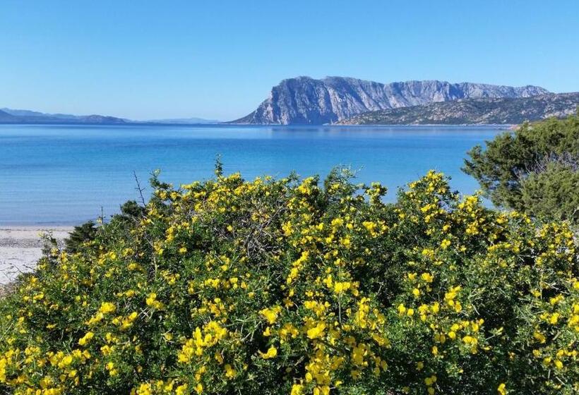 Номер Стандарт с Балконом, Agriturismo La Casa Delle Fate