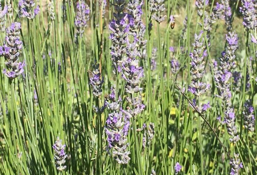 Номер Стандартный с Видом, Agriturismo La Casa Delle Fate