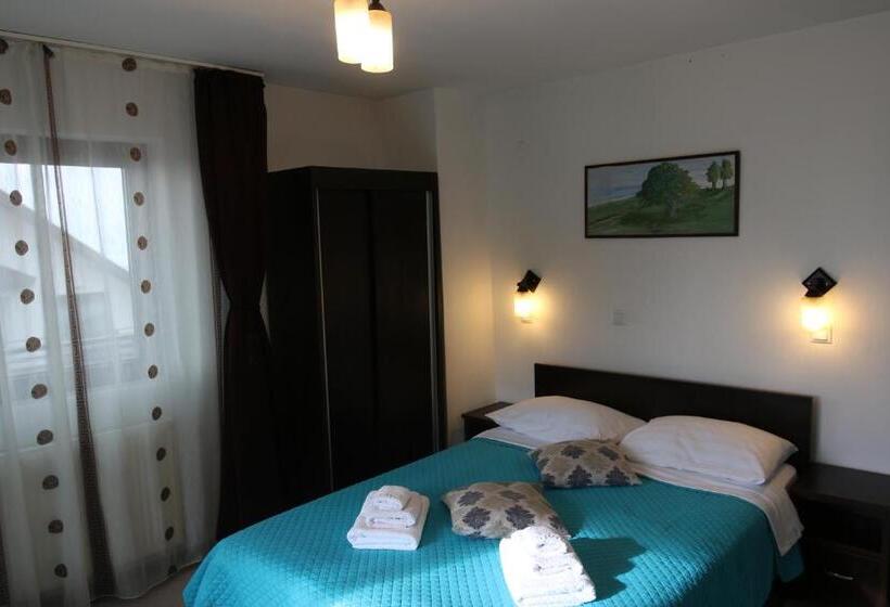 스탠다드 룸, Cabana Transalpina