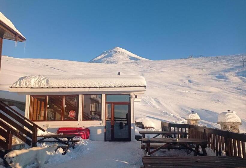 スタンダードルーム, Cabana Transalpina