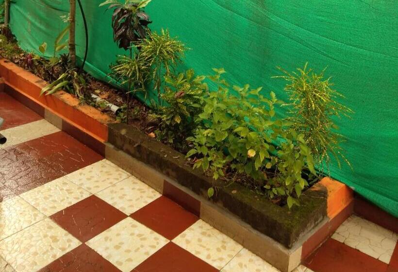 Deluxe Studio, Casa De Olga