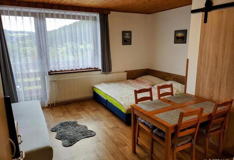 Студио Стандарт с Балконом, Penzion Daniela