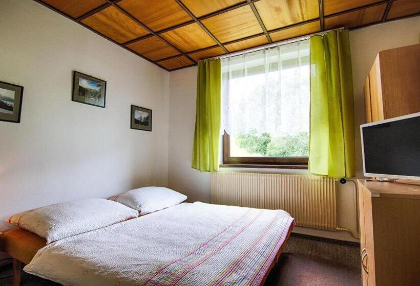 إستديو قياسى مزود بشرفة, Penzion Daniela