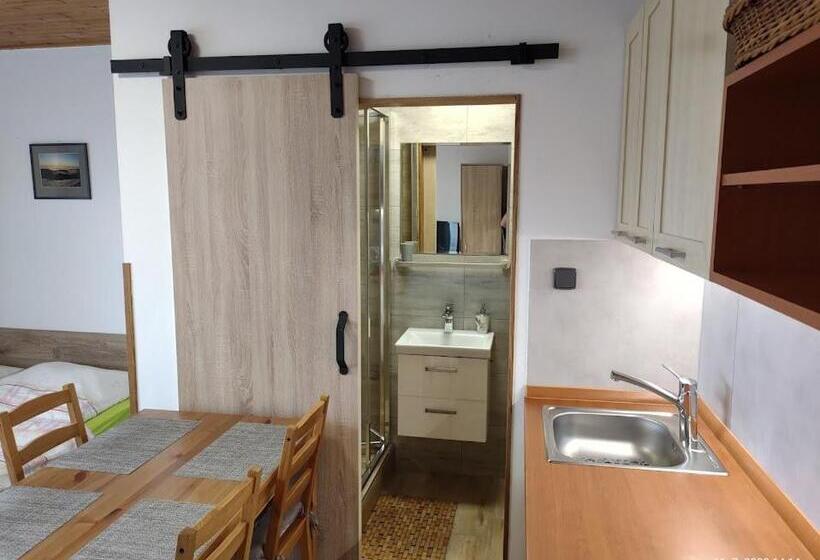 إستديو قياسى مزود بشرفة, Penzion Daniela