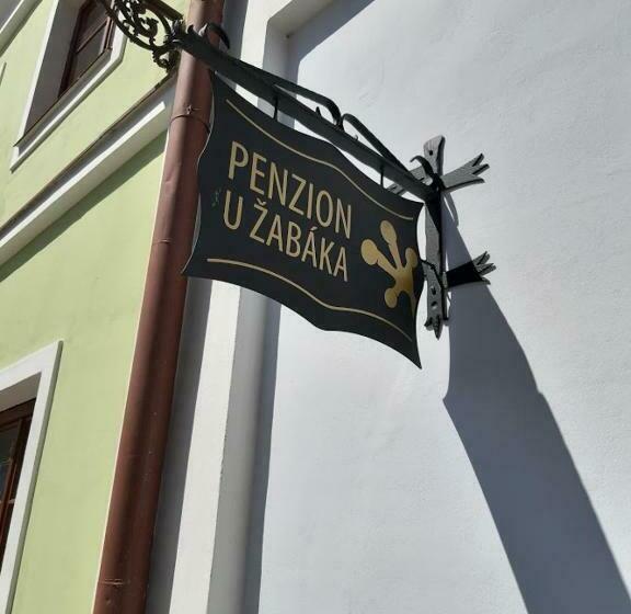 غرفة قياسية سرير كينج, Penzion U žabáka