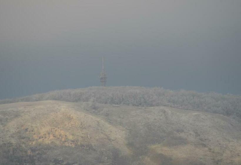 キングサイズベッドのスタンダードルーム, Penzion U žabáka