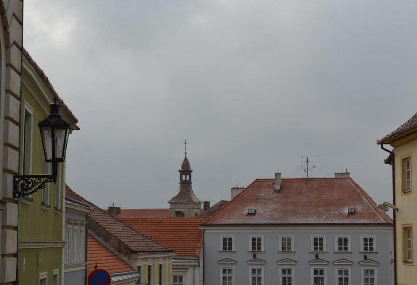 غرفة قياسية سرير كينج, Penzion U žabáka