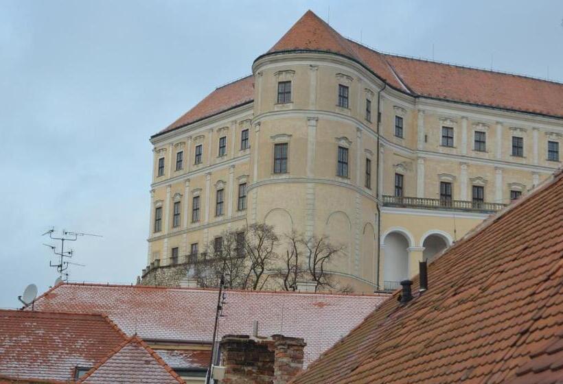 غرفة قياسية سرير كينج, Penzion U žabáka