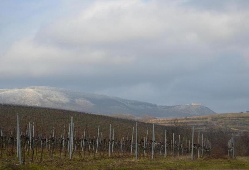 شقة غرفة واحدة, Penzion U žabáka