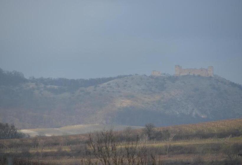 スイート（家族用）, Penzion U žabáka