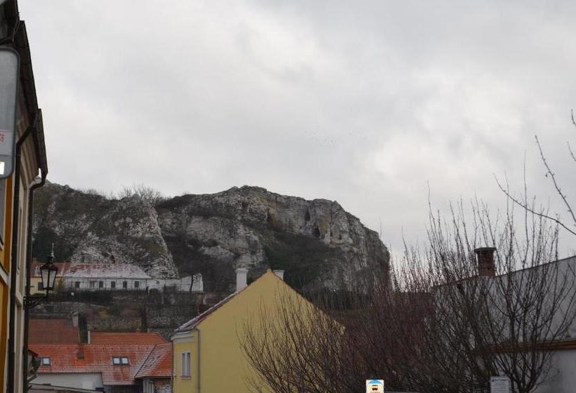 جناح عائلي, Penzion U žabáka