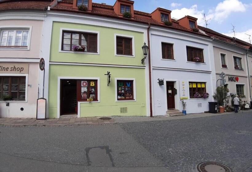 身障者適用キングサイズベッドルーム, Penzion U žabáka