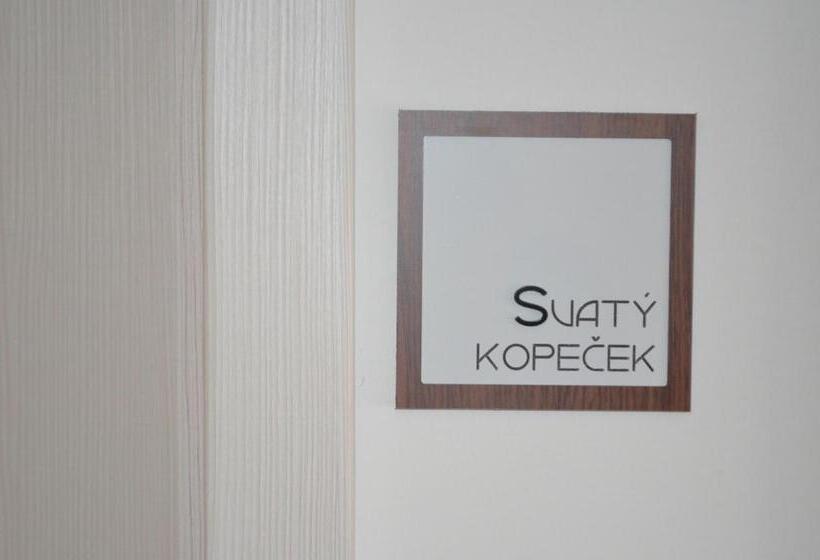 Стандартный Номер Кровать Кинг, Penzion U žabáka