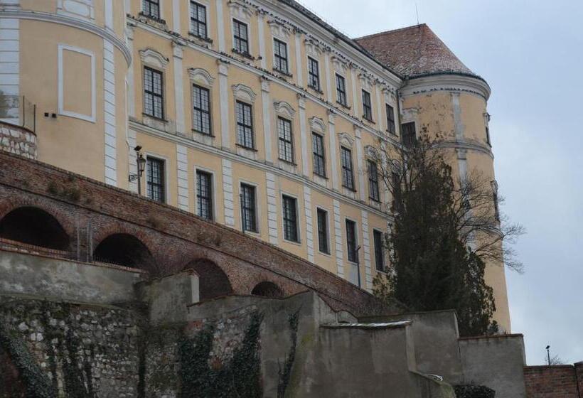 شقة غرفة واحدة, Penzion U žabáka