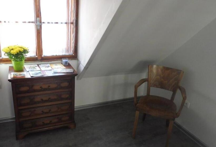 شقة غرفة واحدة, Penzion U žabáka