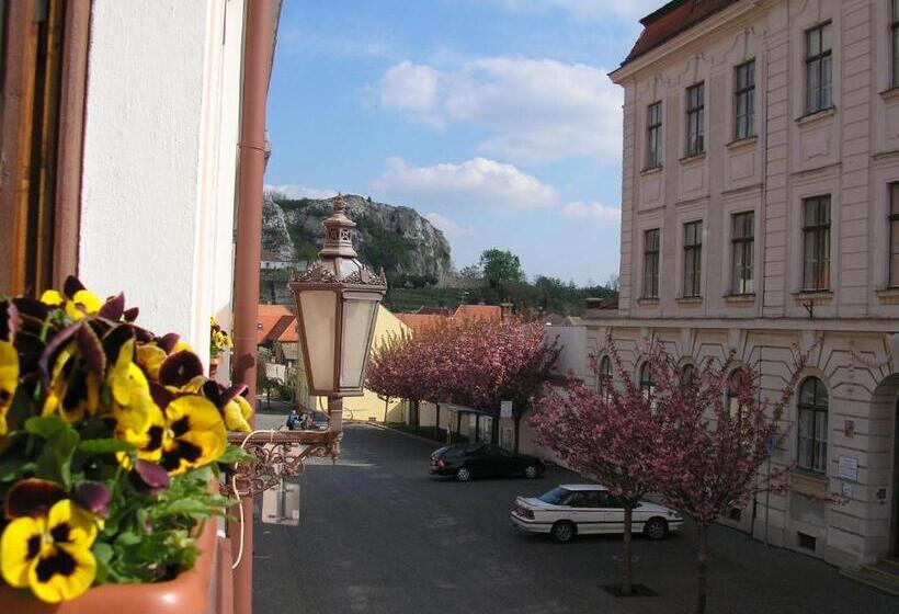 شقة غرفة واحدة, Penzion U žabáka