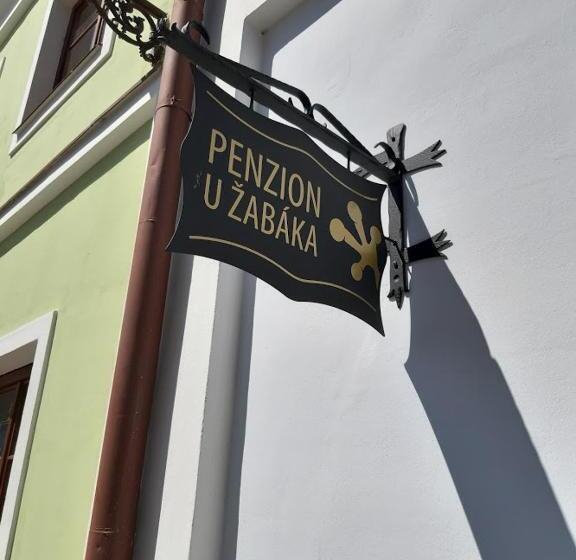 جناح عائلي, Penzion U žabáka