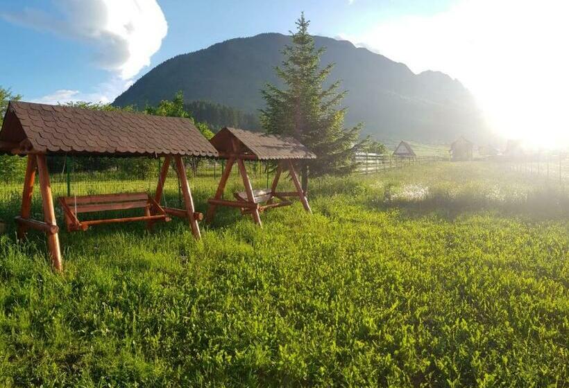 Номер Стандарт, Pensiunea Casa Zarnesteana