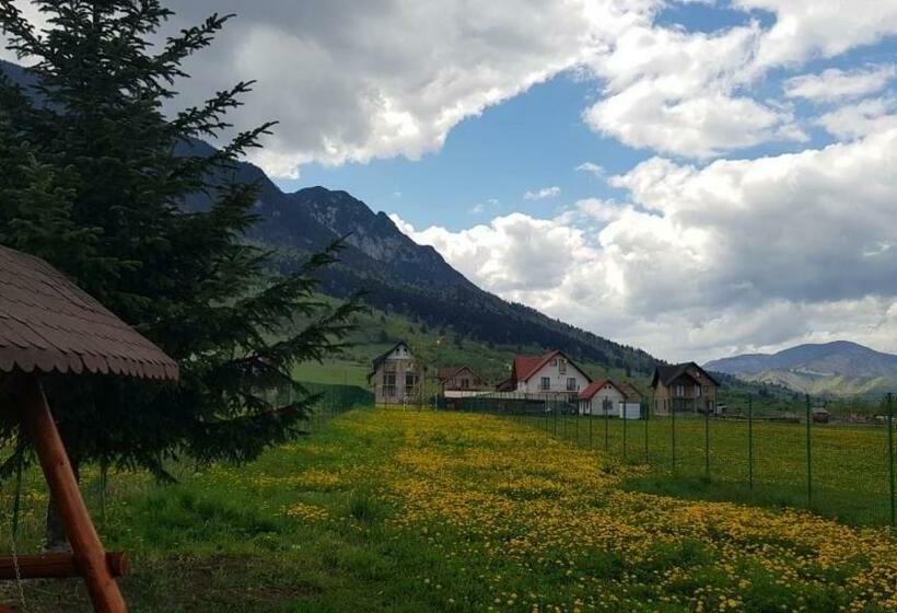 スタンダードルーム, Pensiunea Casa Zarnesteana