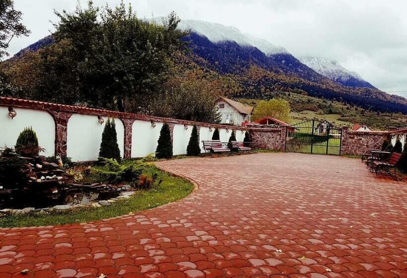 Номер Стандарт, Pensiunea Casa Zarnesteana