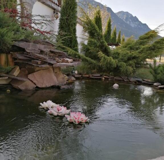 1ベッドルームハウス, Pensiunea Casa Zarnesteana