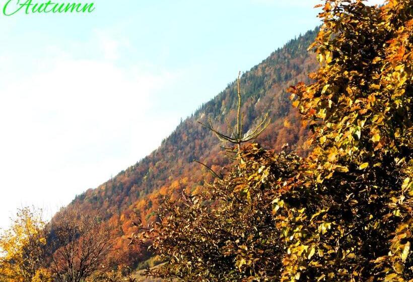 スーペリアの4人部屋, Pensiunea Casa Zarnesteana