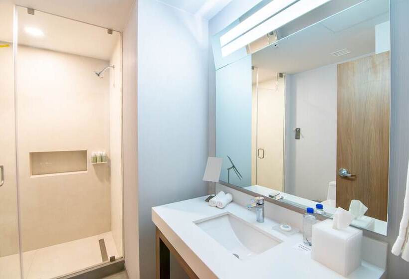 套房, Courtyard By Marriott Mexicali